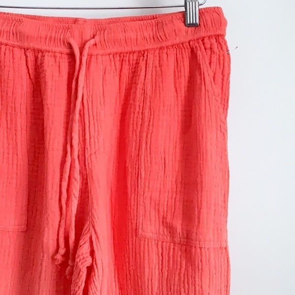 Young Fabulous & Broke Ombré Crinkle Joggers - Picture 6 of 9